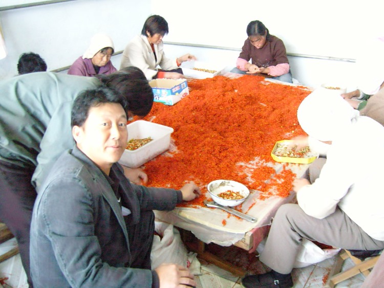 05-04.jpg