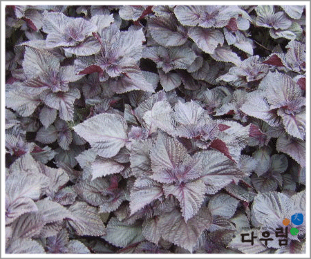 10-06.gif
