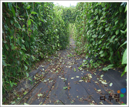 11-02.gif